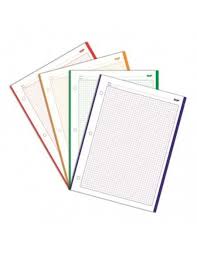 [TF3H-1] Hojas traper clasico 5 colores gonzales 200hjs (3 Huecos)